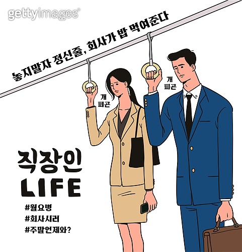 서산셀세모 이미지