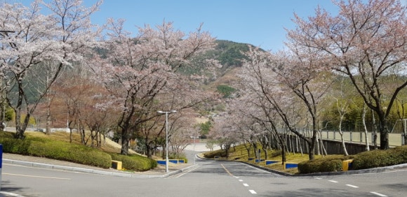 삼성산청연수소 이미지