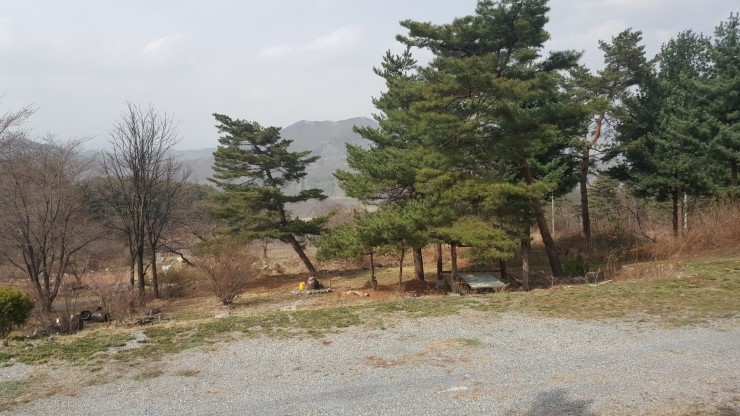 영월엘지 이미지
