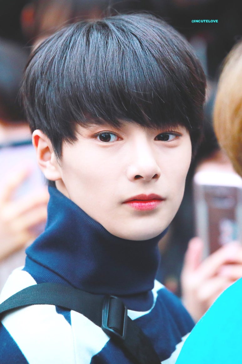 나인플럭스 이미지