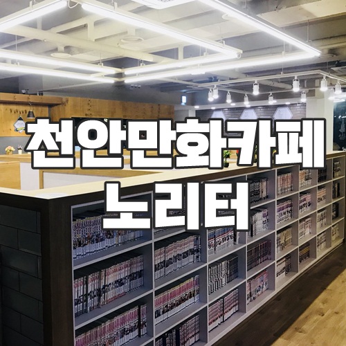 노리터만화 이미지