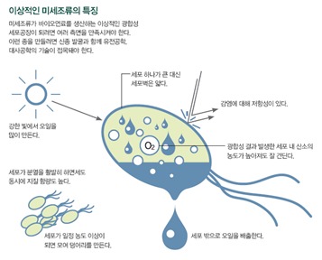 미세조류를 활용한 바이오에너지 : 네이버 블로그 미세조류를 활용한 바이오에너지 : 네이버 블로그