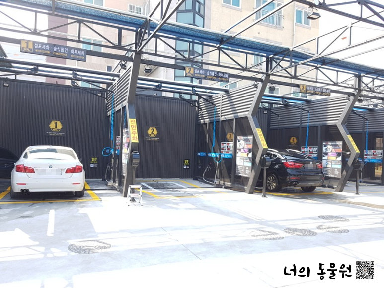 서산셀세모 이미지
