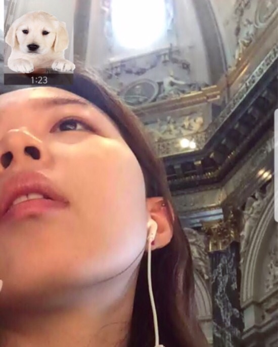 마머스 이미지