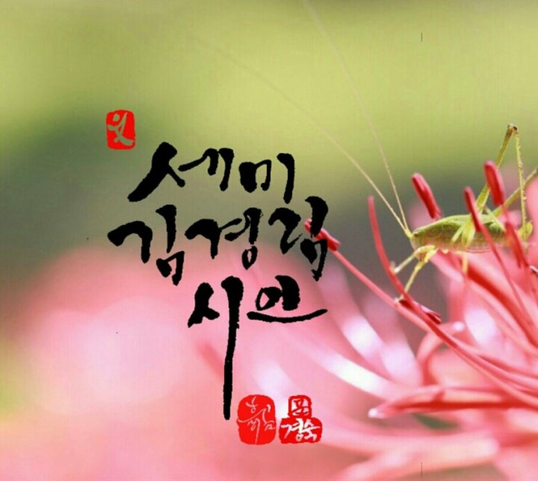 노란주전자 이미지