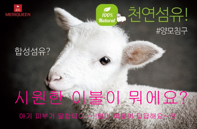 좋은환경 이미지