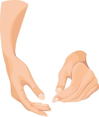 손톱나무 이미지