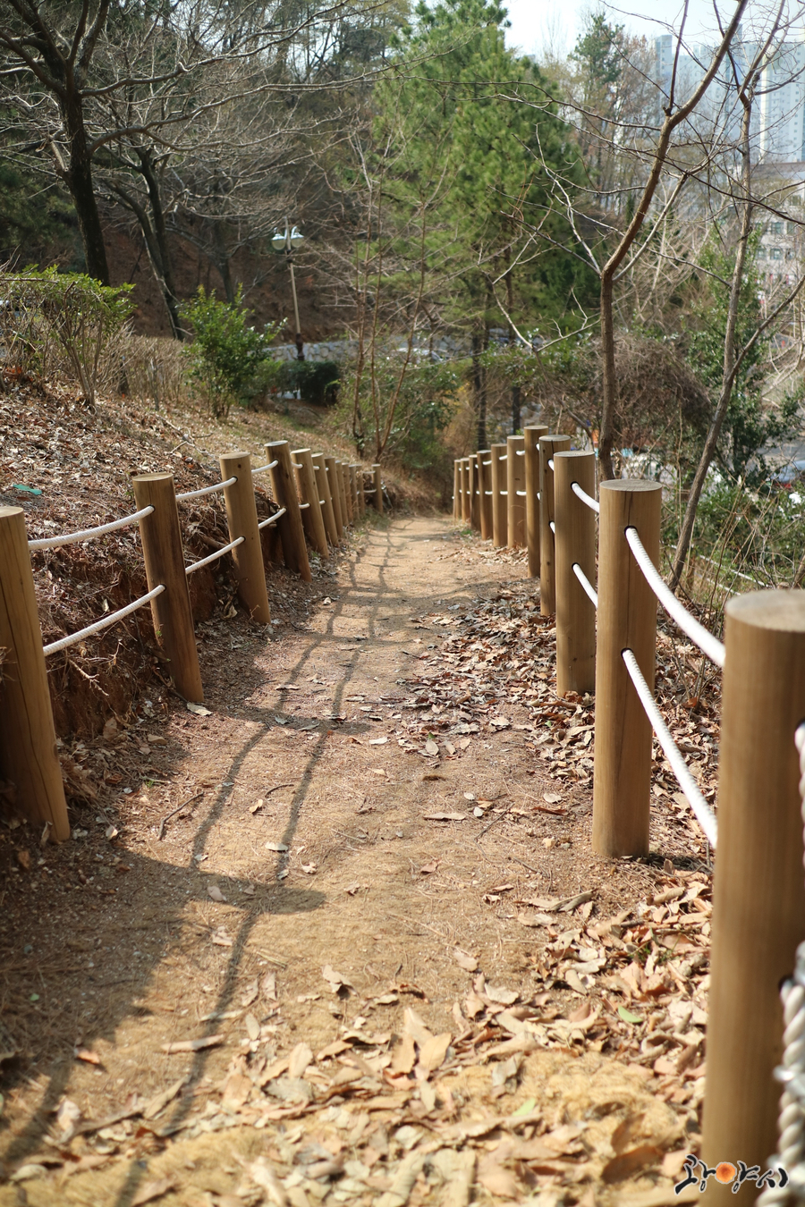 마동근린공원산책로 이미지