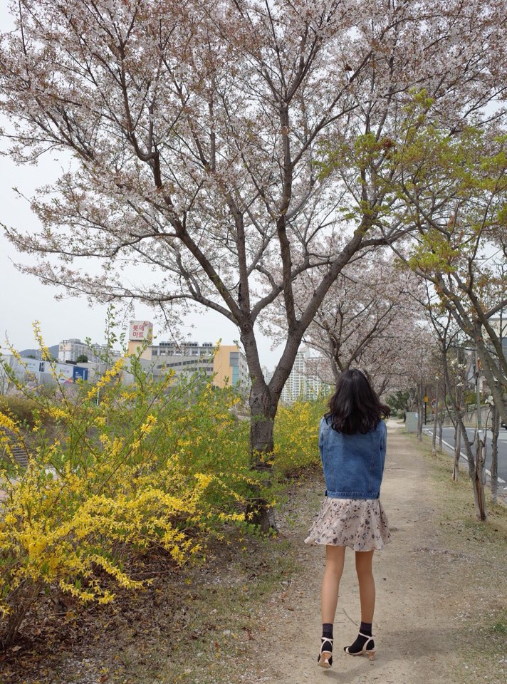 에펠슈즈 이미지