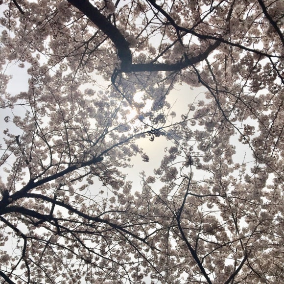 홍원쌈밥 이미지