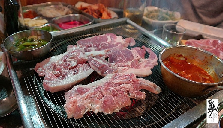 돼지새마을운동 이미지