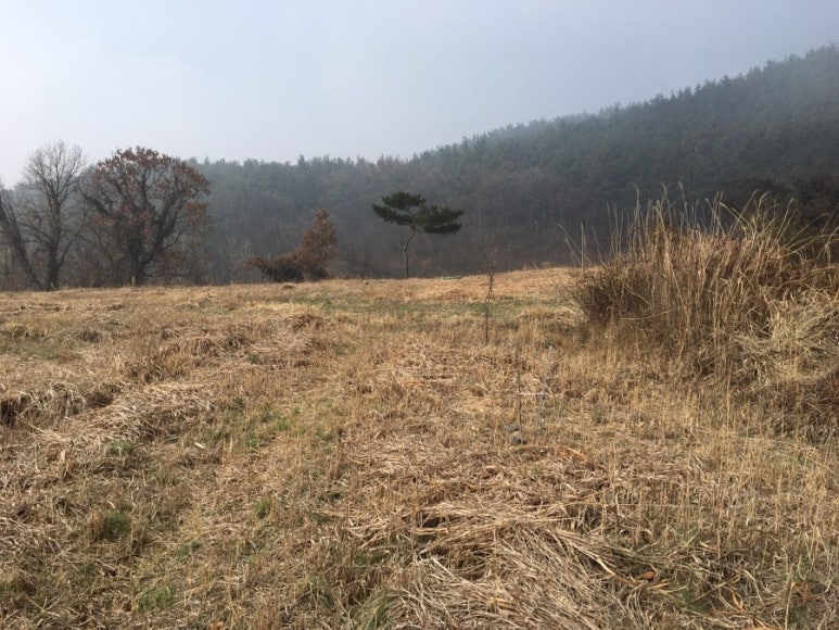 행복뜰농원 이미지