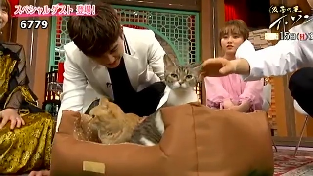 비에스에이치 이미지