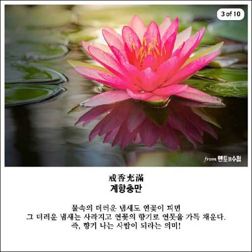 지혜상사 이미지