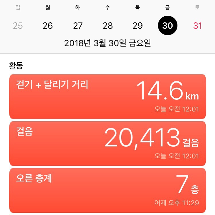 사월애 이미지