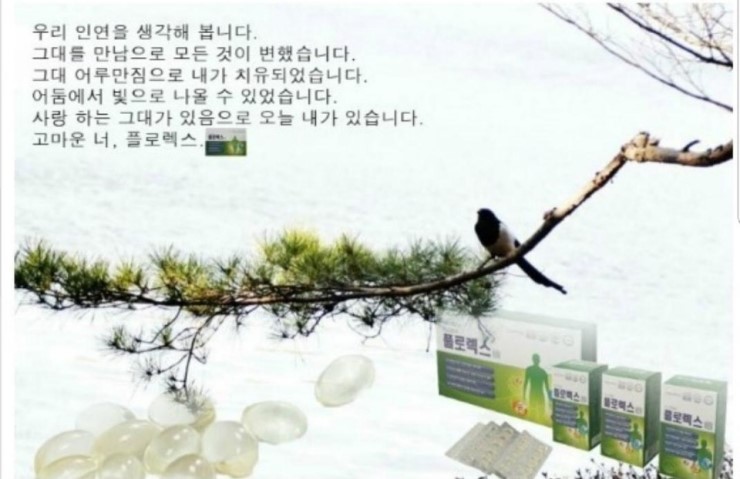 플로렉스 이미지