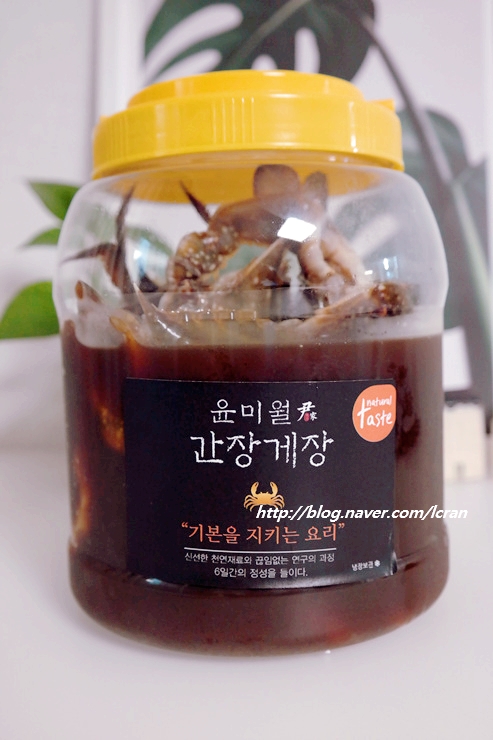 윤가축산 이미지