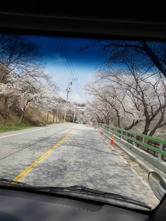 충북타일상사 이미지