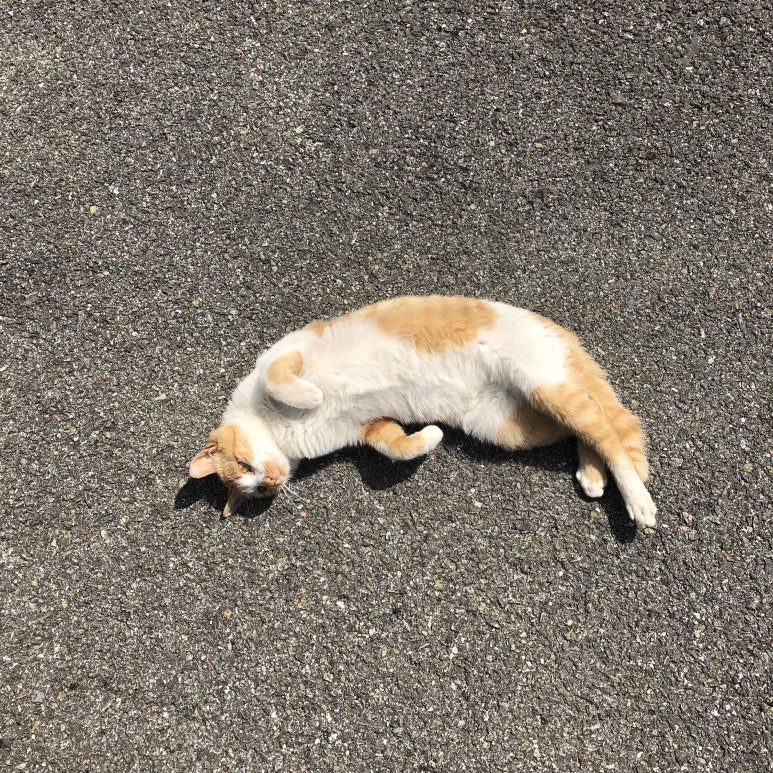 평화농산 이미지