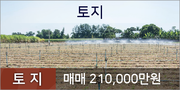 연세한빛안과 이미지