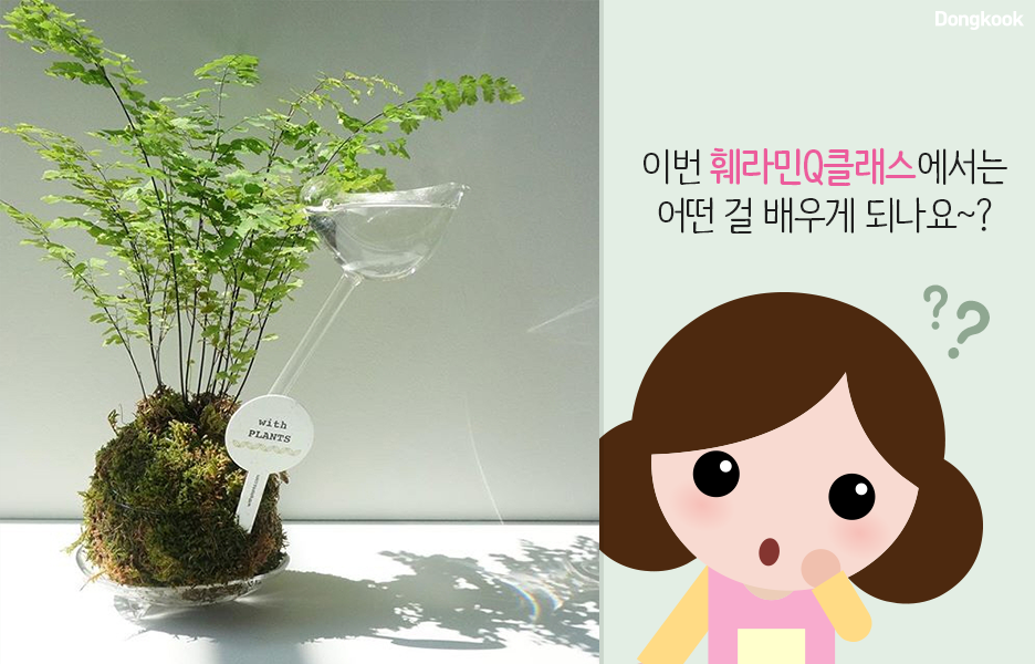위드플랜츠 이미지