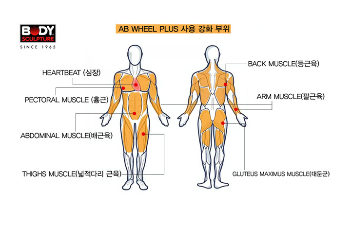 플러스휠 이미지