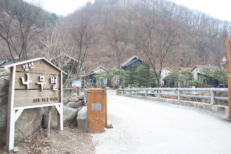 어린왕자의나무별 이미지