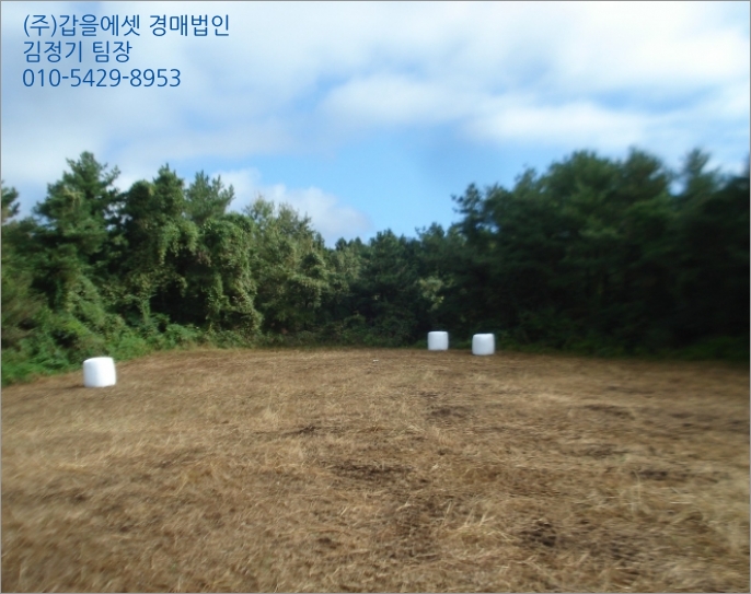 영남동 이미지