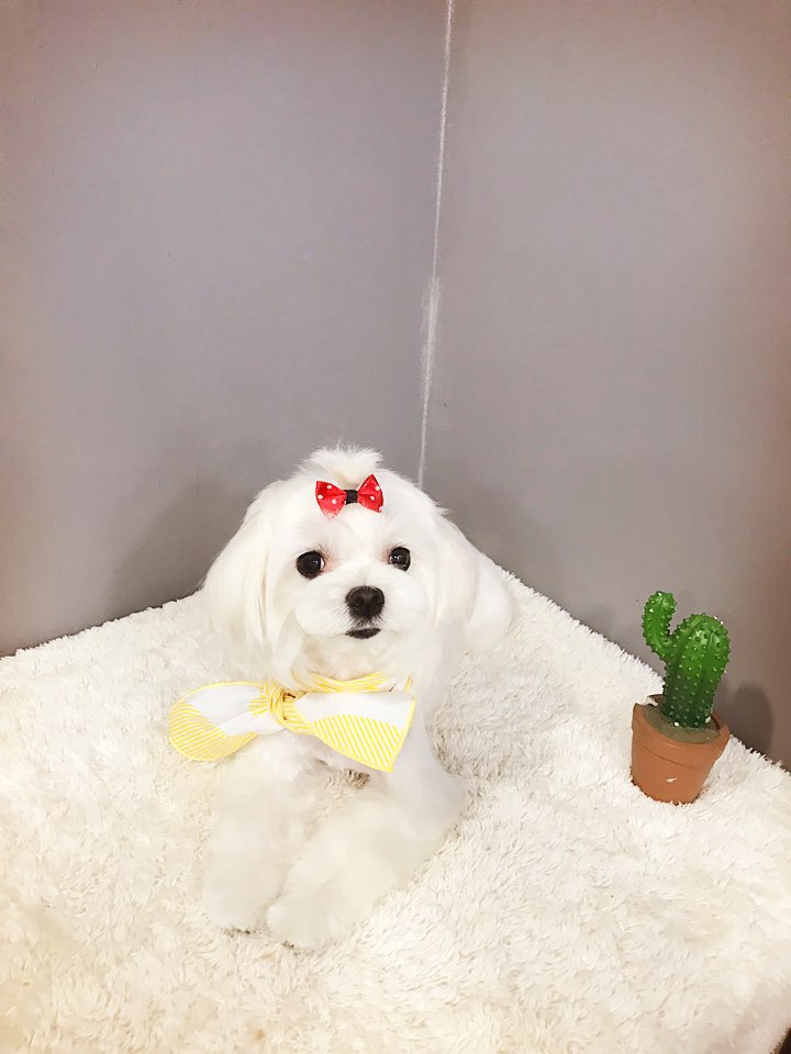 담비미용실 이미지