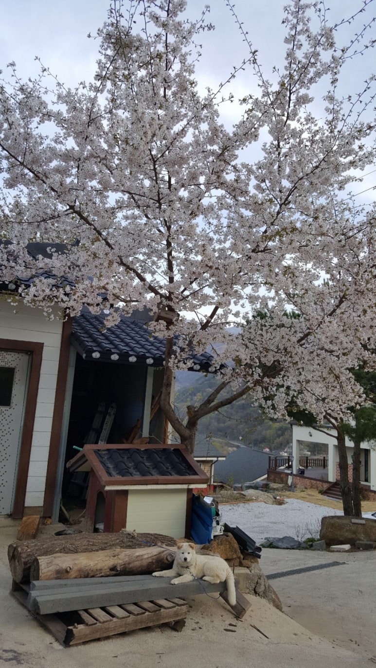 산모음민박 이미지
