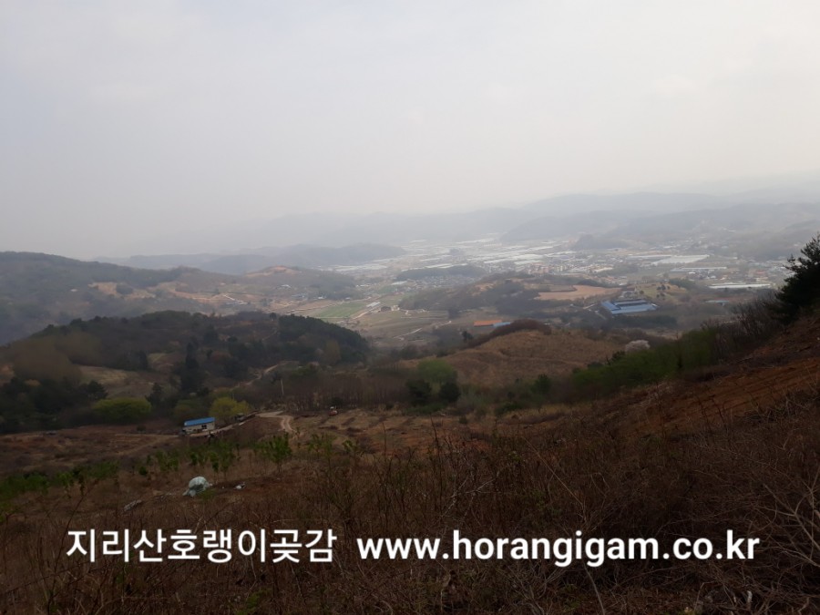 옥종주유소 이미지