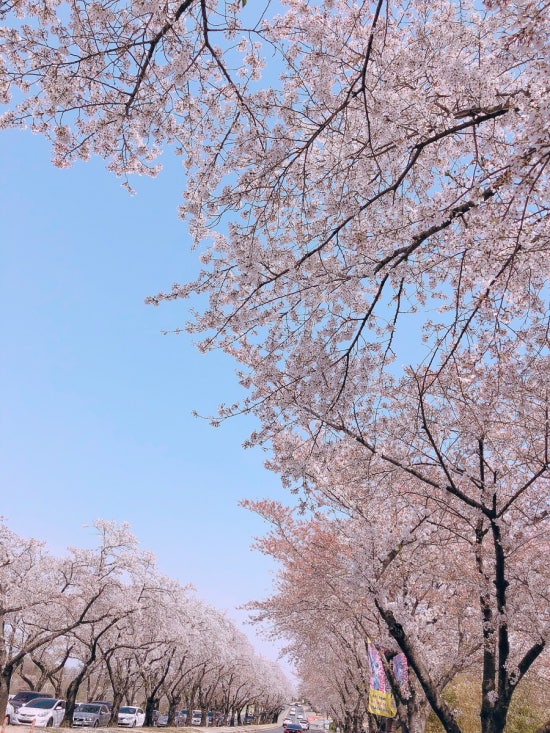 보문서점 이미지