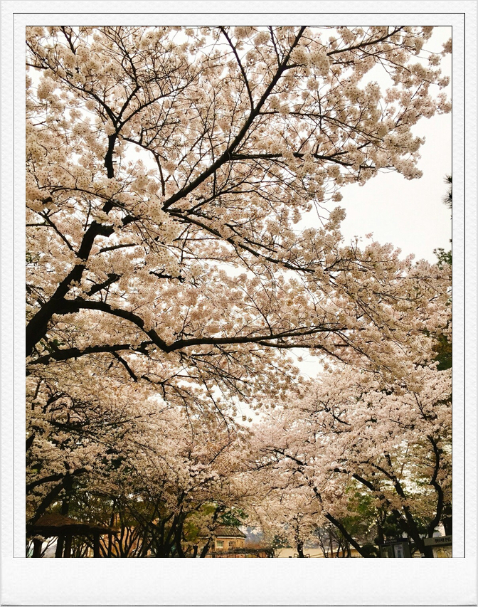 현스티 이미지