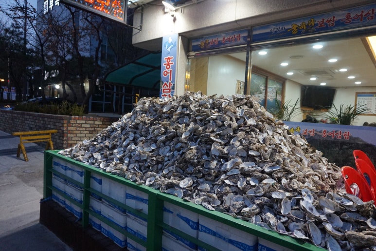 굴바다 이미지