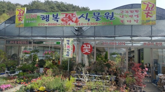 진해꽃식물원 이미지