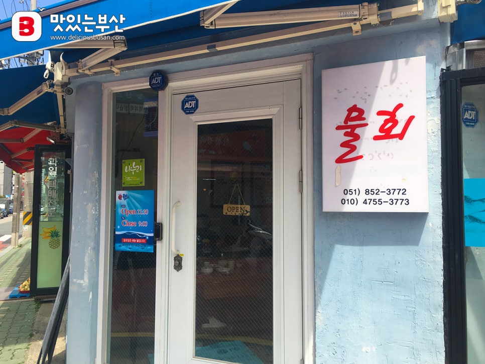울진 후포리청솔물회 이미지
