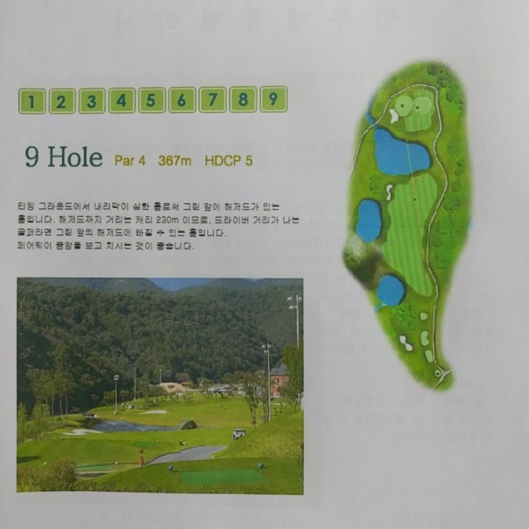 오케이그늘집 이미지