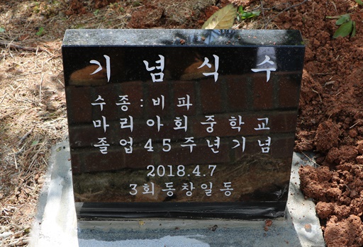 마리아회고등학교 이미지