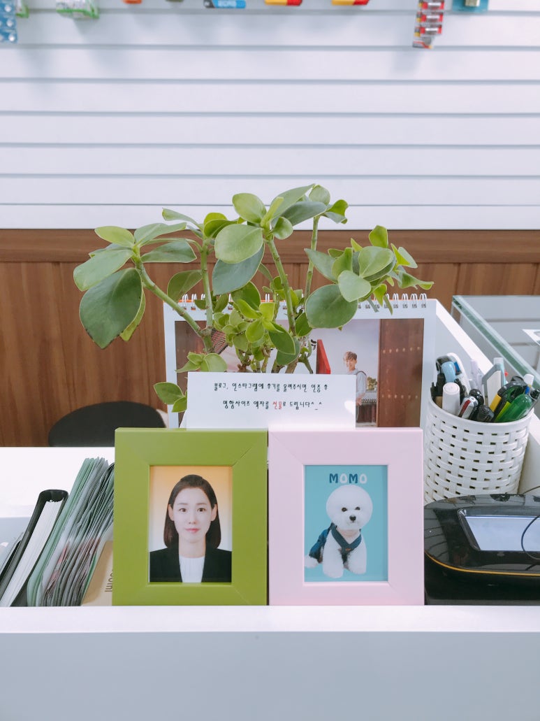 홍가사진관 이미지