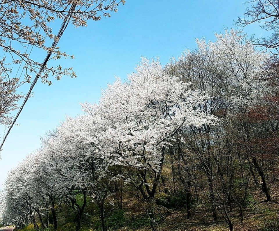 그레이당진 이미지