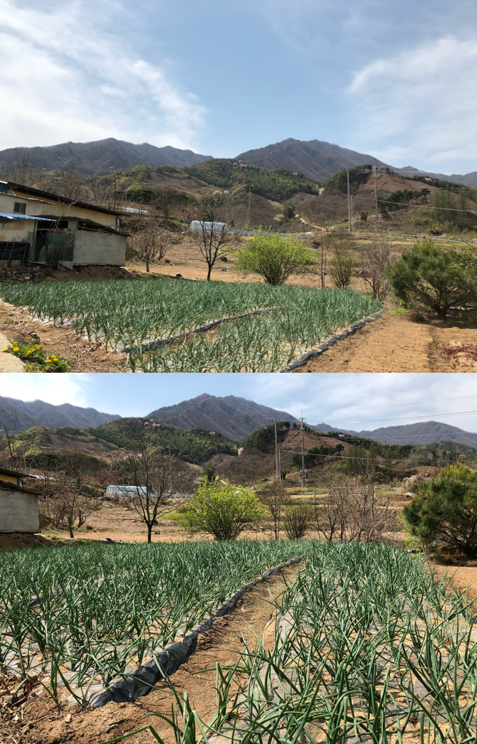 마천농산 이미지