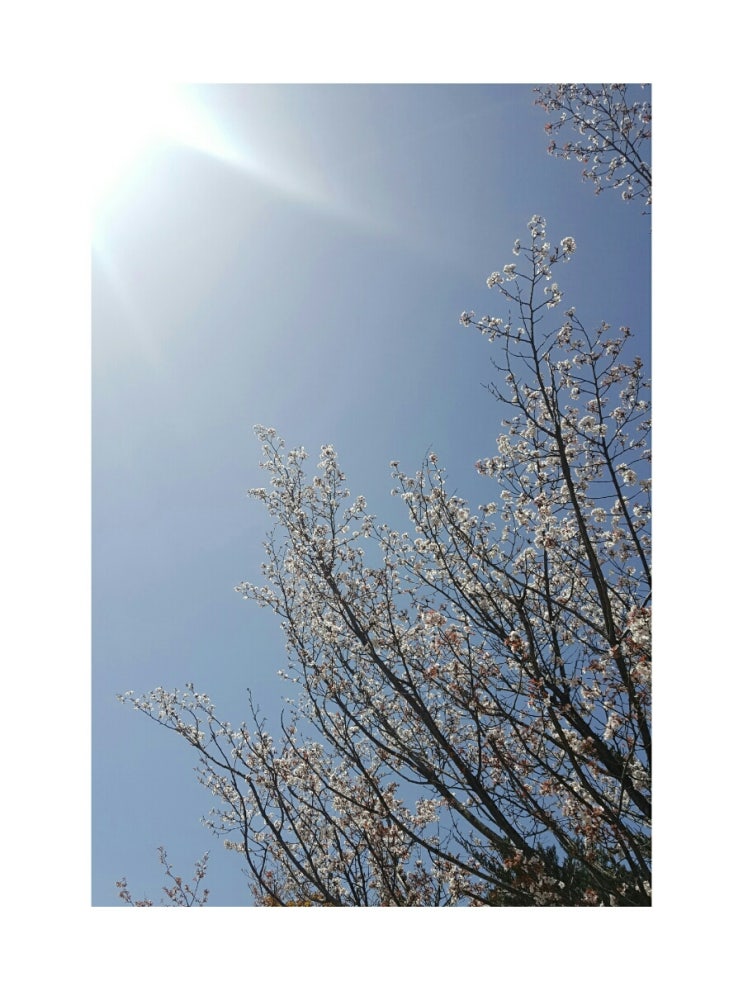 동광산업과학고등학교 이미지