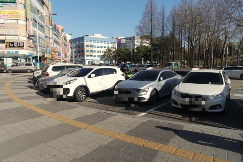 참치야놀자 이미지