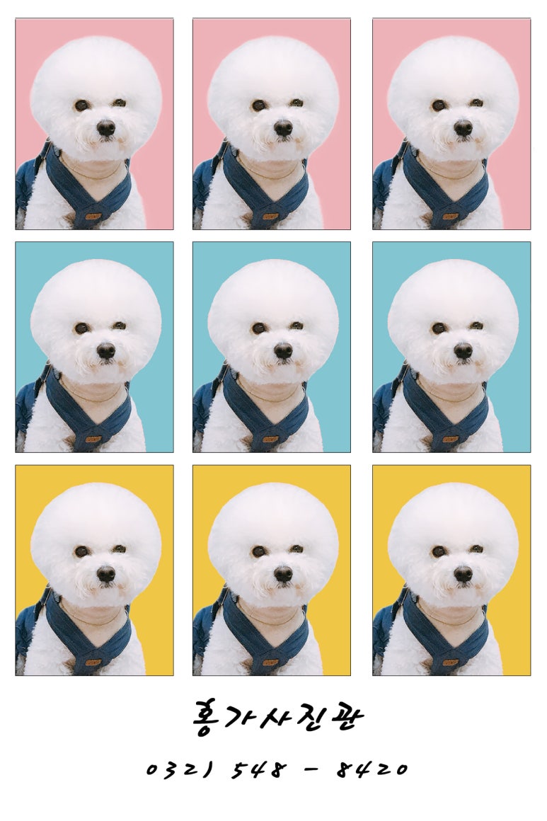 홍가사진관 이미지