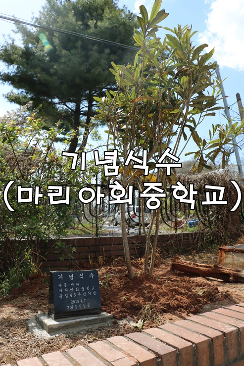 마리아회고등학교 이미지