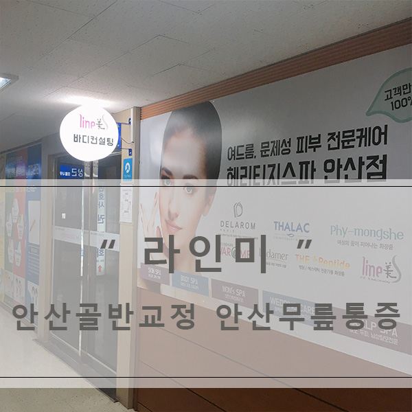 라인미 이미지