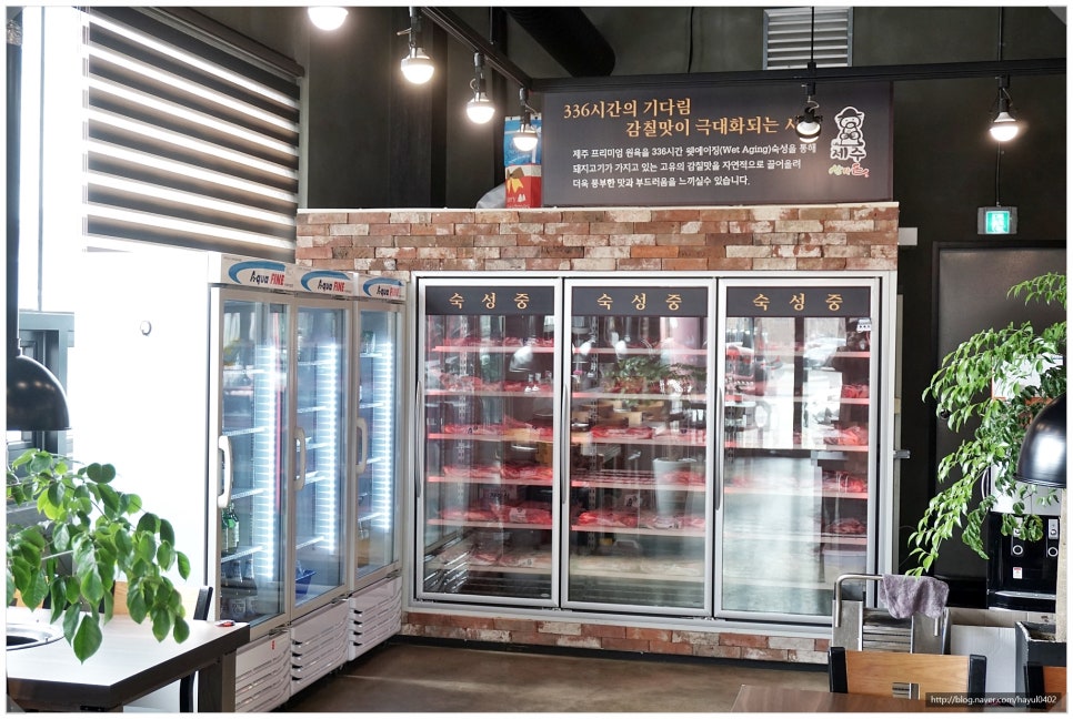 제주삼다돈가 이미지