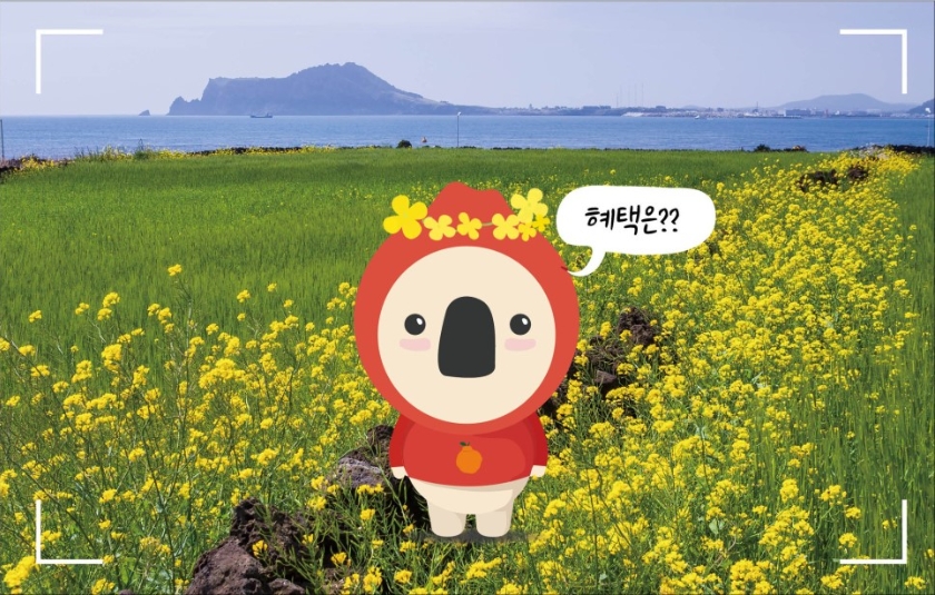 오즈렌터카 이미지