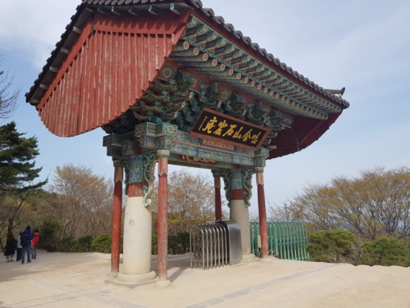 화산홍어 이미지