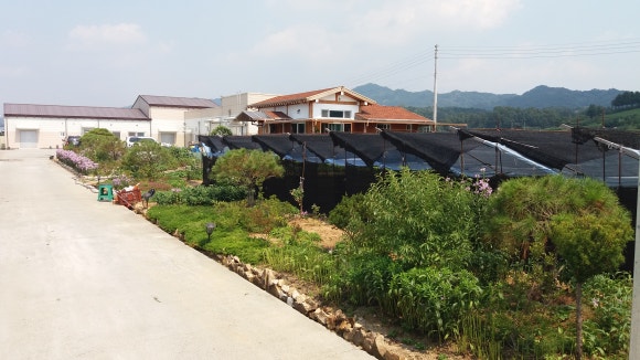 금산대근홍삼 이미지